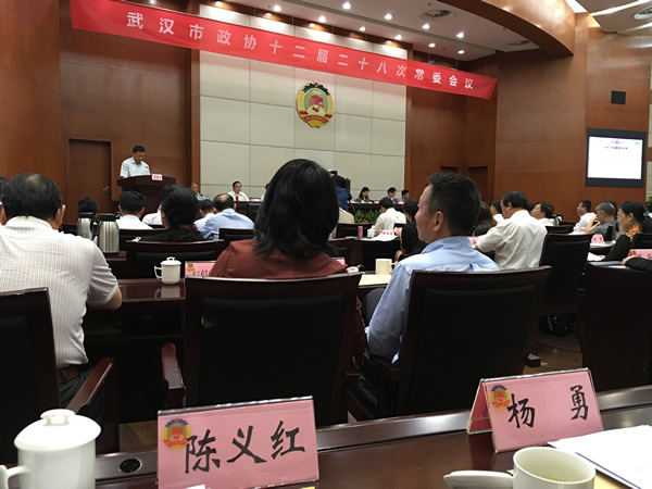 陈义红在武汉市政协常委会议上发言